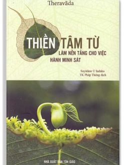 Thiền tâm từ