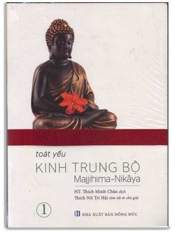 Toat yếu kinh Trung Bộ