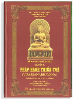 Pháp hành Thiền tuệ
