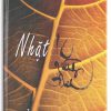 Nhặt lá rừng xưa
