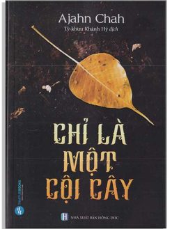 Chỉ là một cội cây